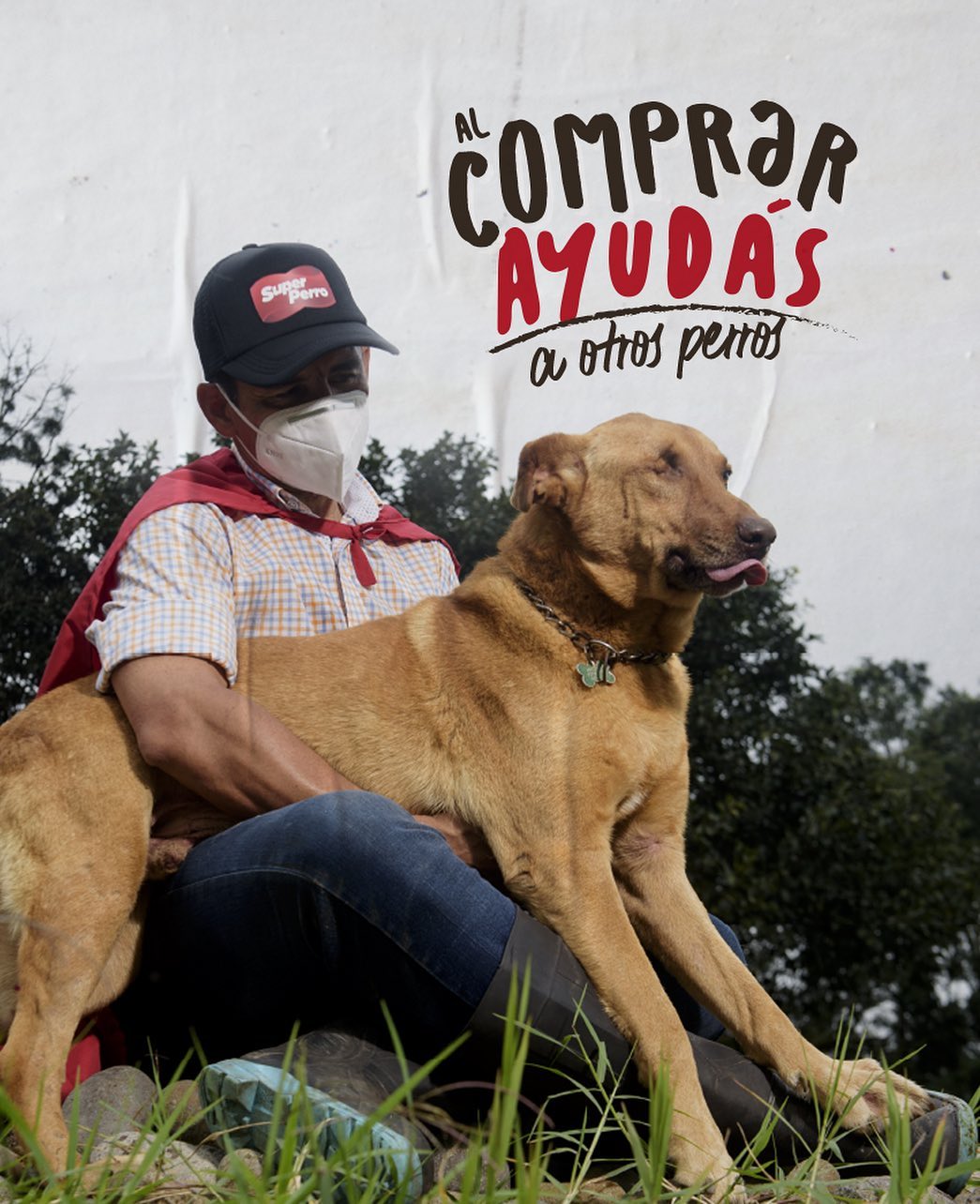 Super Perro - La promesa de Super Perro, cuando comprás... | Facebook