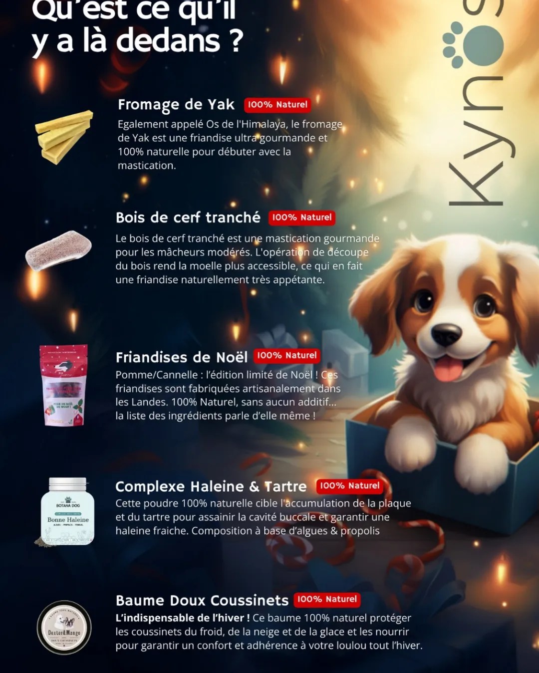 Kynos - Mon Chien au Naturel
