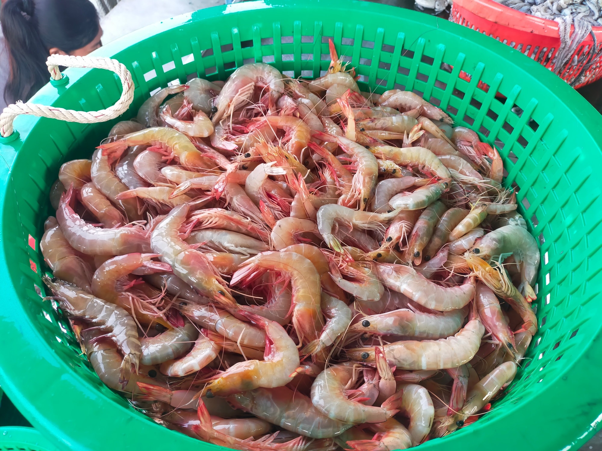 YS Sekinchan Fresh... - YS Sekinchan Fresh Seafood 意盛适耕庄本地海产