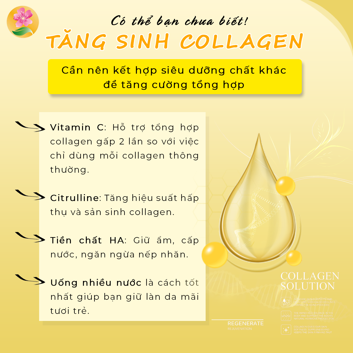 #Tăng_sinh_colla... - Hương Đào Spa - Bàn Tay Vàng Điều Trị Da