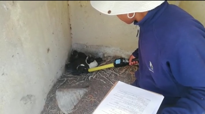 It’s #WorldRangerDay! We salute... - SANCCOB saves seabirds | Facebook