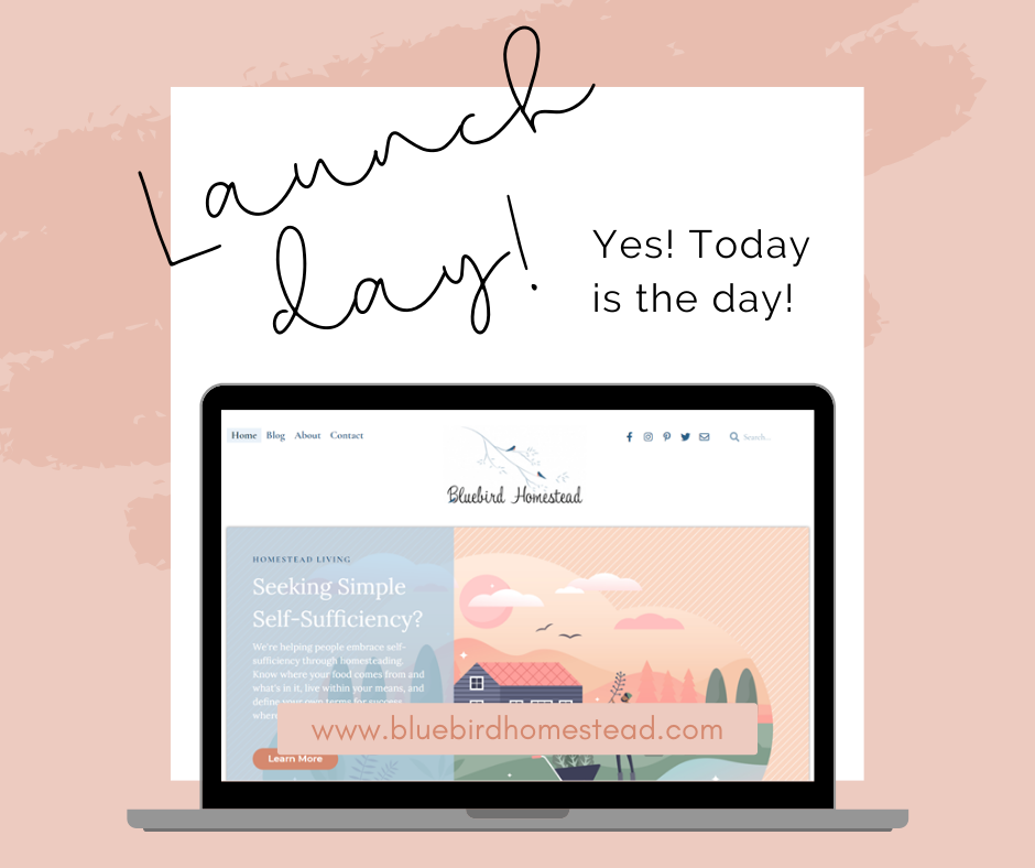 We are so excited to announce that... - Bluebird Homestead | Facebook