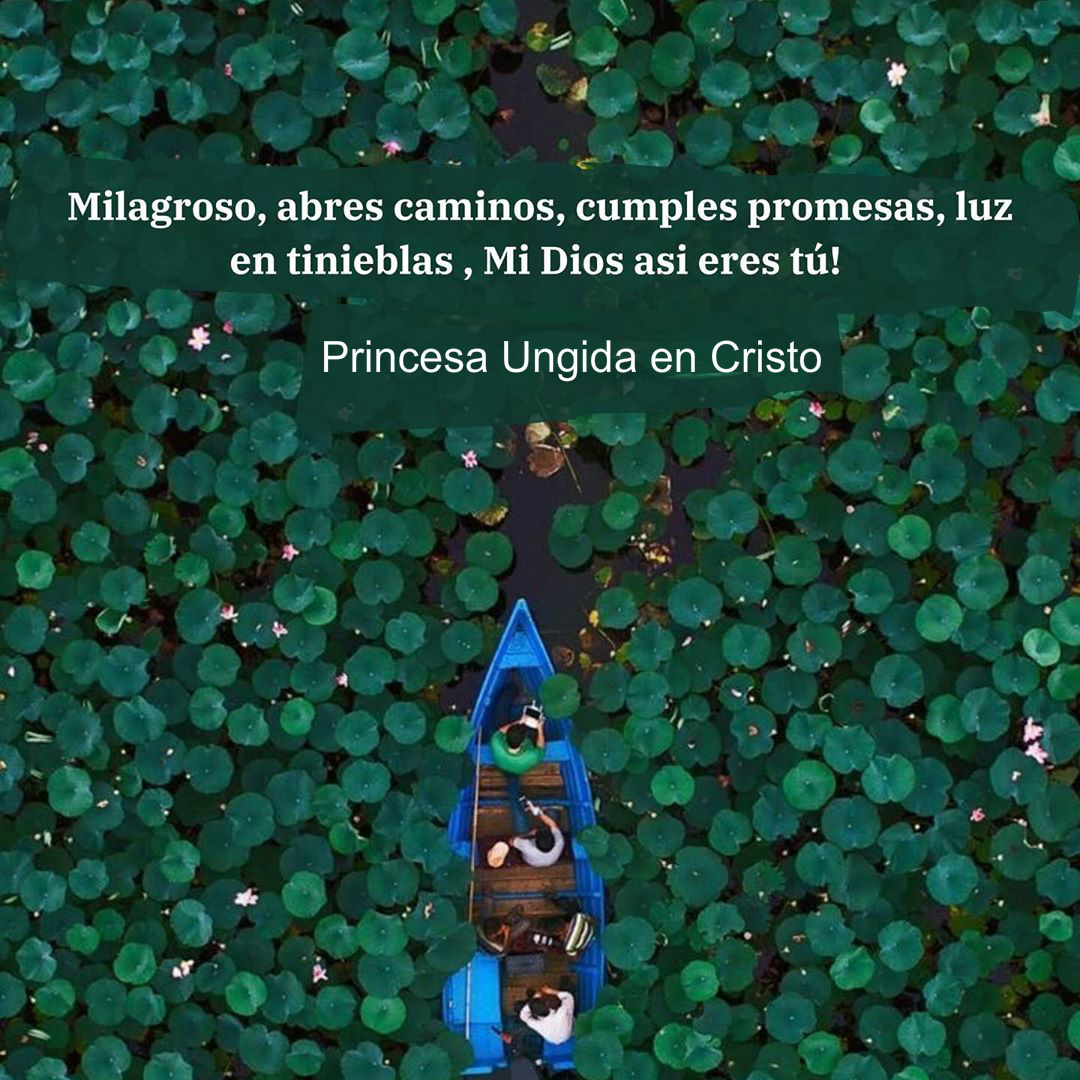 Princesa Ungida En Cristo Gloria Aleluya Gloria A Dios En Las Alturas Milagroso Abres Camino Cumples Promesas Luz En Tinieblas Mi Dios Asi Eres Tu Facebook Solución tóxica con un 28% de clorito de sodio (naclo2) usada en medicina alternativa. milagroso abres camino cumples