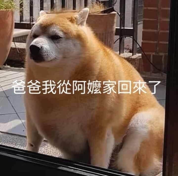 汐止福隆便當 有種餓 叫做 阿嬤覺得你餓阿嬤完全發揮一眠大一吋的力量 阿嬤養出來的永遠大一倍