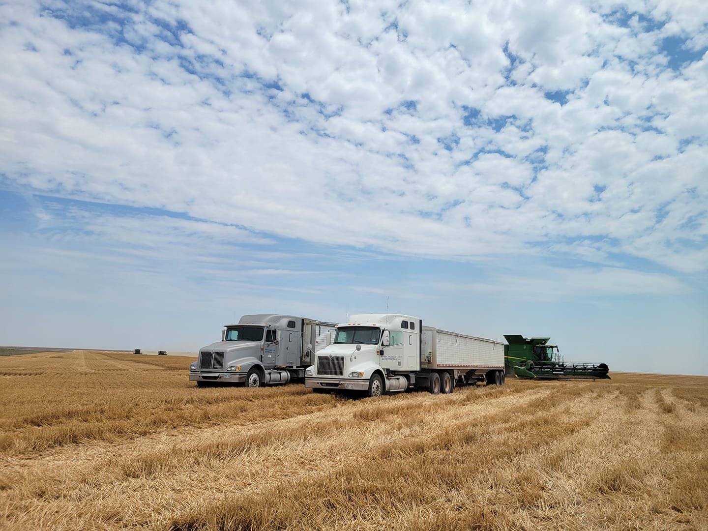 Thomas and Reed Farms, Inc. | Montezuma KS