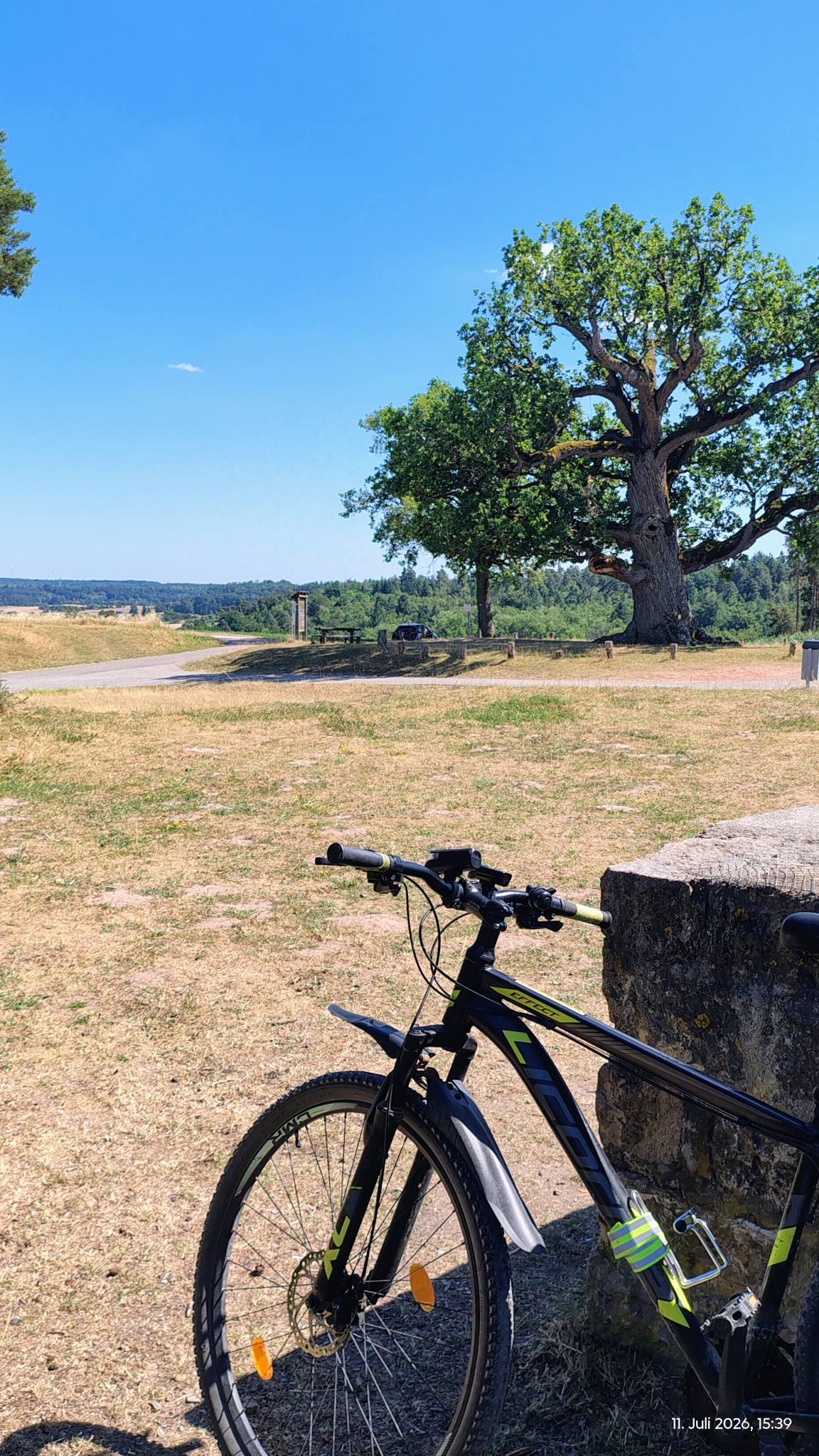 rennrad einfach antrieb für Erwachsene, mit 7-Gang-Antrieb und Heckträger für Pendler und Fitness Sport & Freizeit Marmot Ständer EarthQuaker Devices Spatial Delivery Options:Goggles Battery