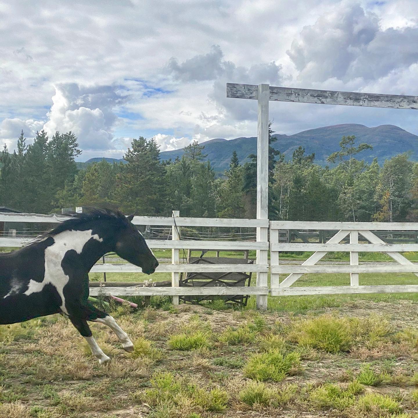 North Star Ranch | Whitehorse YT