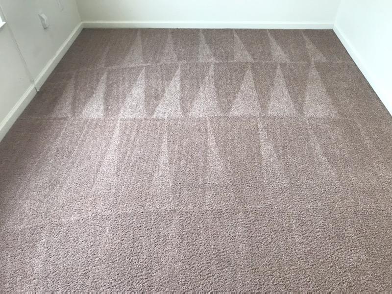 Our professional... Anchor Carpet Cleaning Service, Inc.