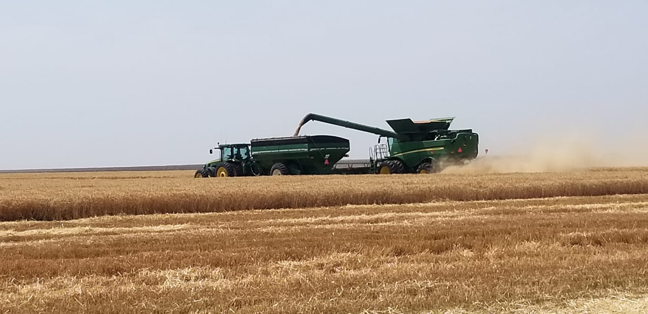 Thomas and Reed Farms, Inc. | Montezuma KS