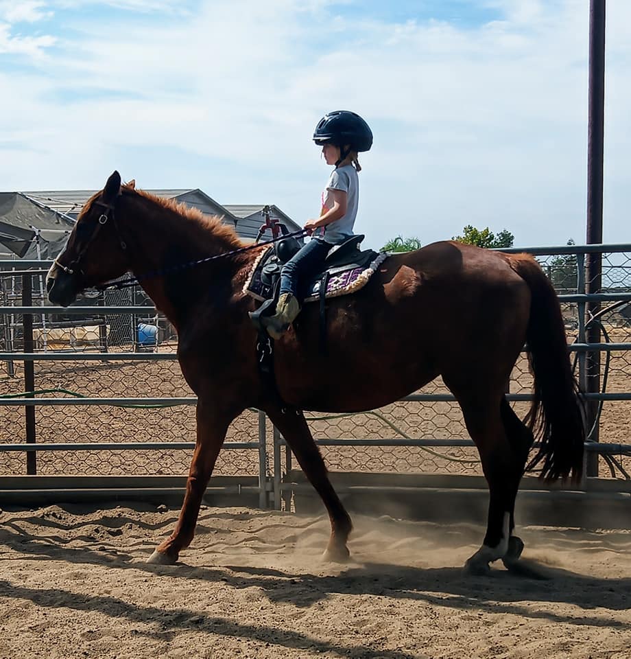 Twisted Bit Ranch Madera | Madera CA
