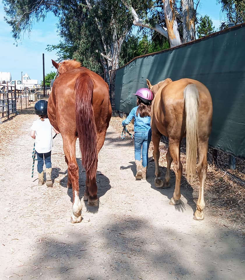 Twisted Bit Ranch Madera | Madera CA