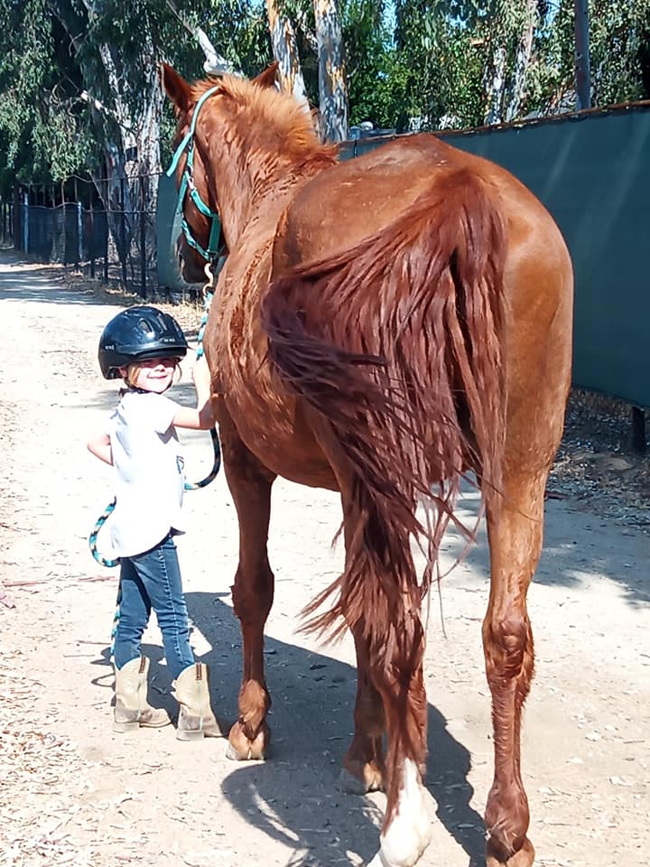 Twisted Bit Ranch Madera | Madera CA