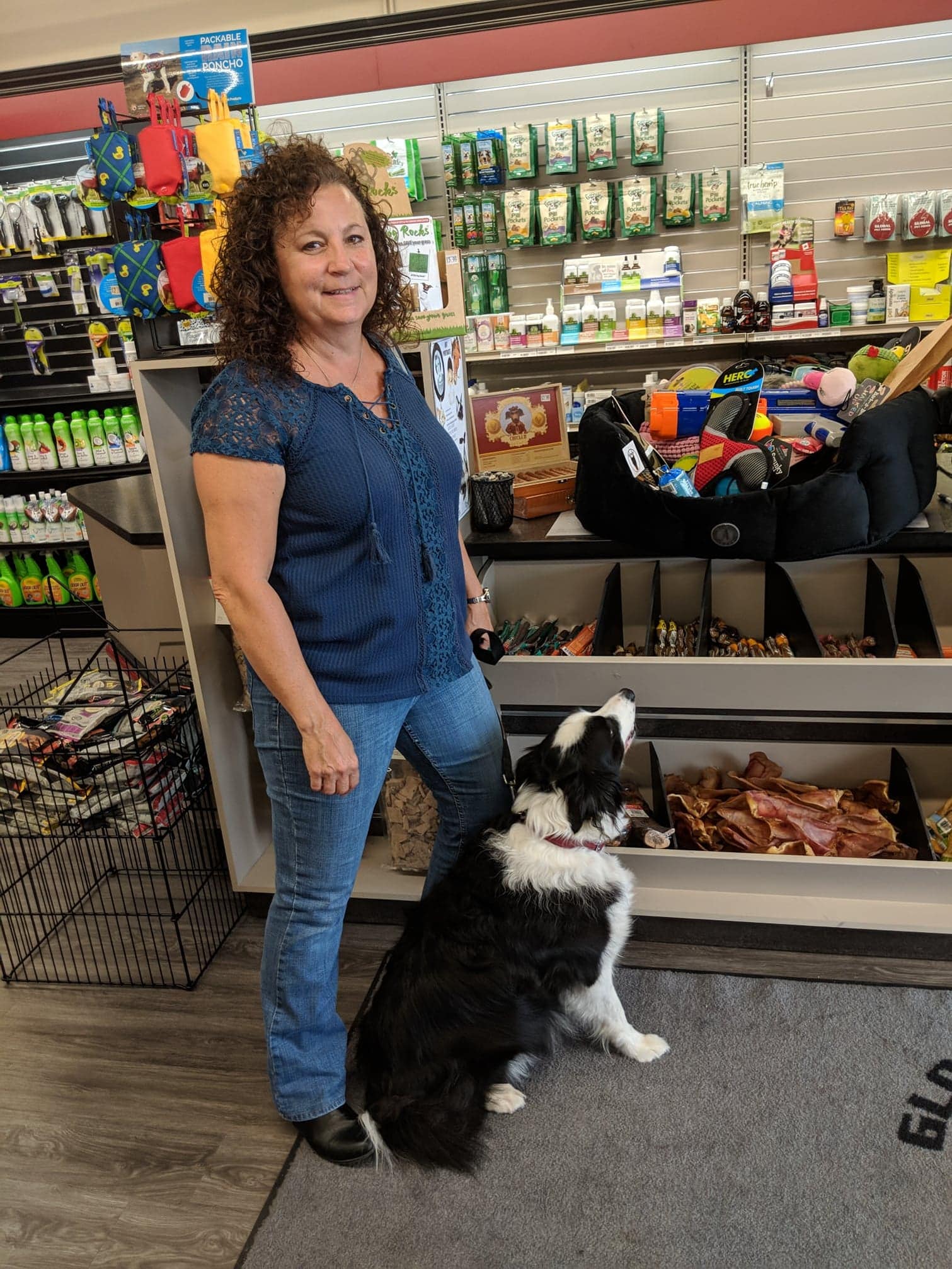 Global Pet Foods St Catharines Glendale Ave Home Facebook