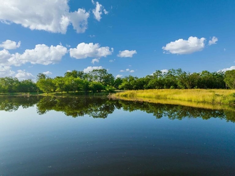 Shipley Ranches | Austin TX