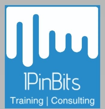 IPinBits