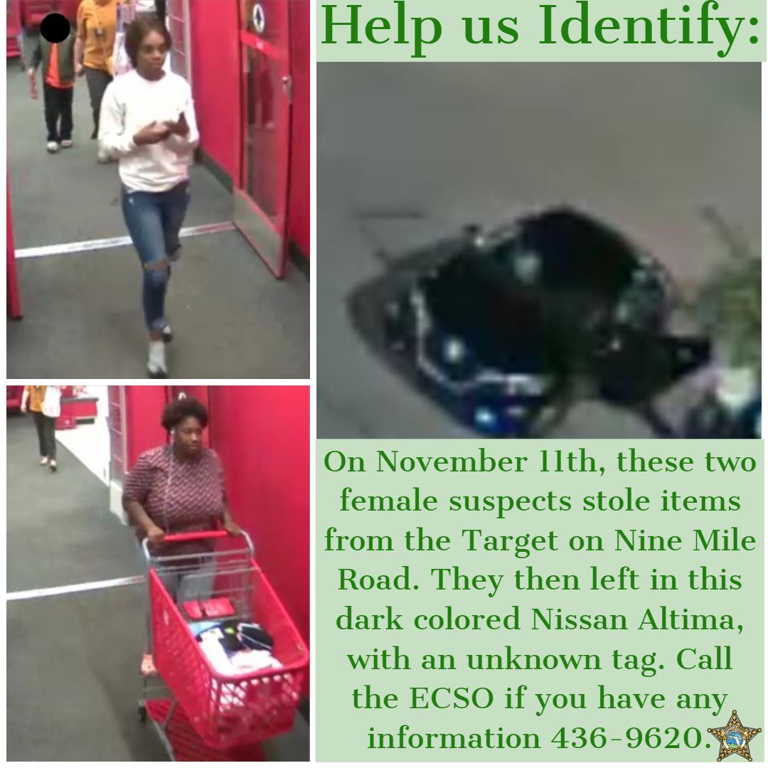 Escambia - Help us Identify: On November 11th, these two female