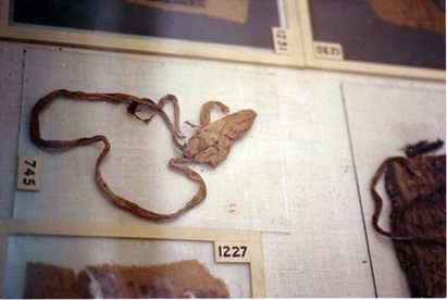 Egyptiva - The earliest surviving condoms in Ancient... | Facebook