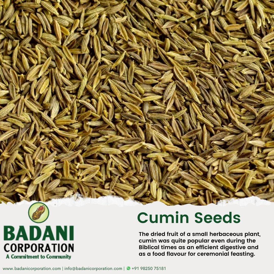 The dried fruit of a small herbaceous... - Badani Corporation