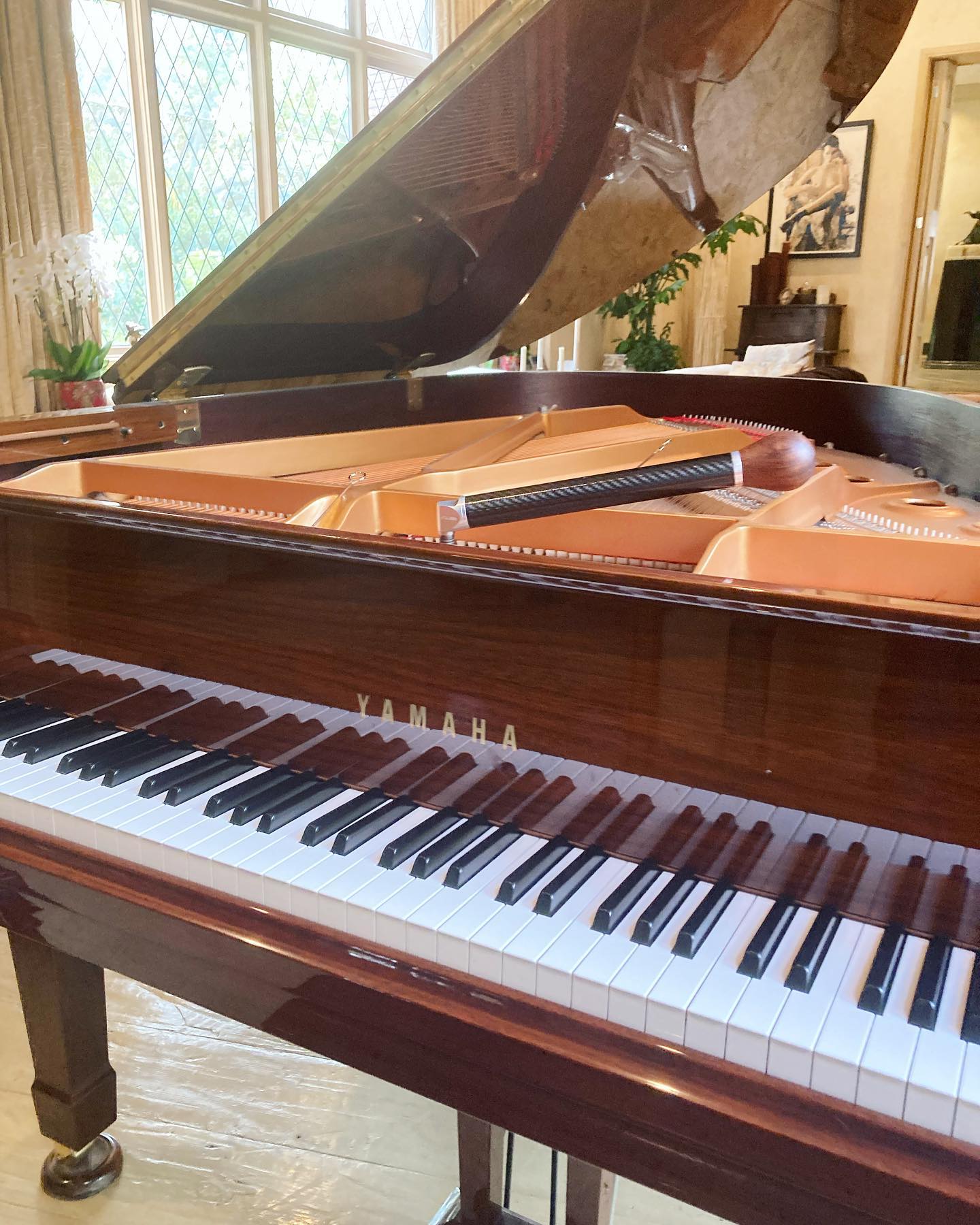 The Piano Tech: Second Generation Piano Tuning & Service by Michael ...