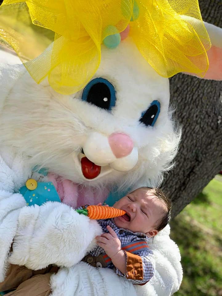 Thumbelina the Amazing... - Thumbelina the Amazing Rabbit