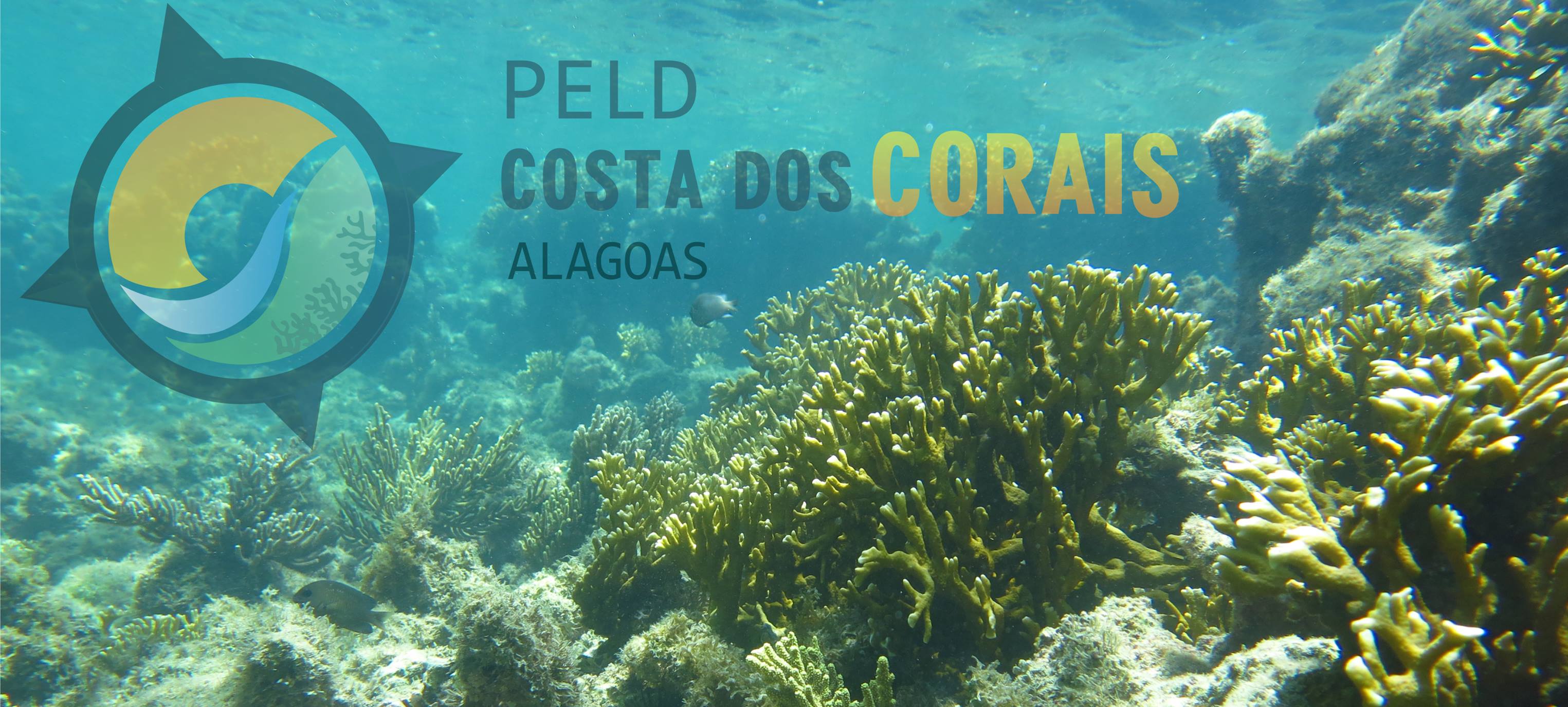 PELD - Costa dos Corais Alagoas