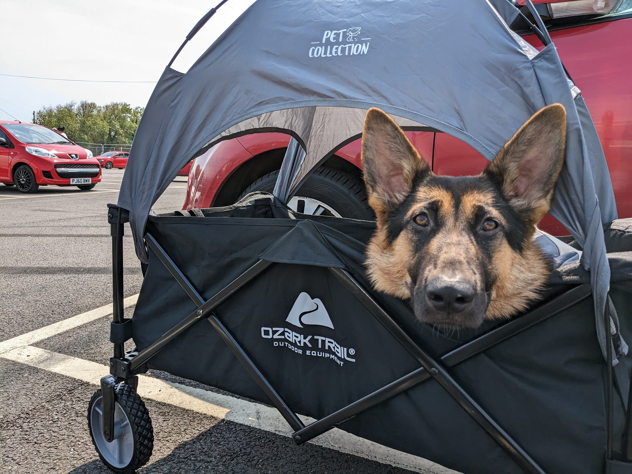 graco stroller infant Modes Nest Travel System, 3-in-1 Modular Carseat Combo, Includes the SnugRide DLX Car Seat and Baby Stroller, Adjustable Slide2Me Car Seat Carrier to Toddler Stroller, Sullivan Color_Platinum Stardust Black 30 lb and up Police Auctions Canada - color:copen blue crosshatch:#41586b