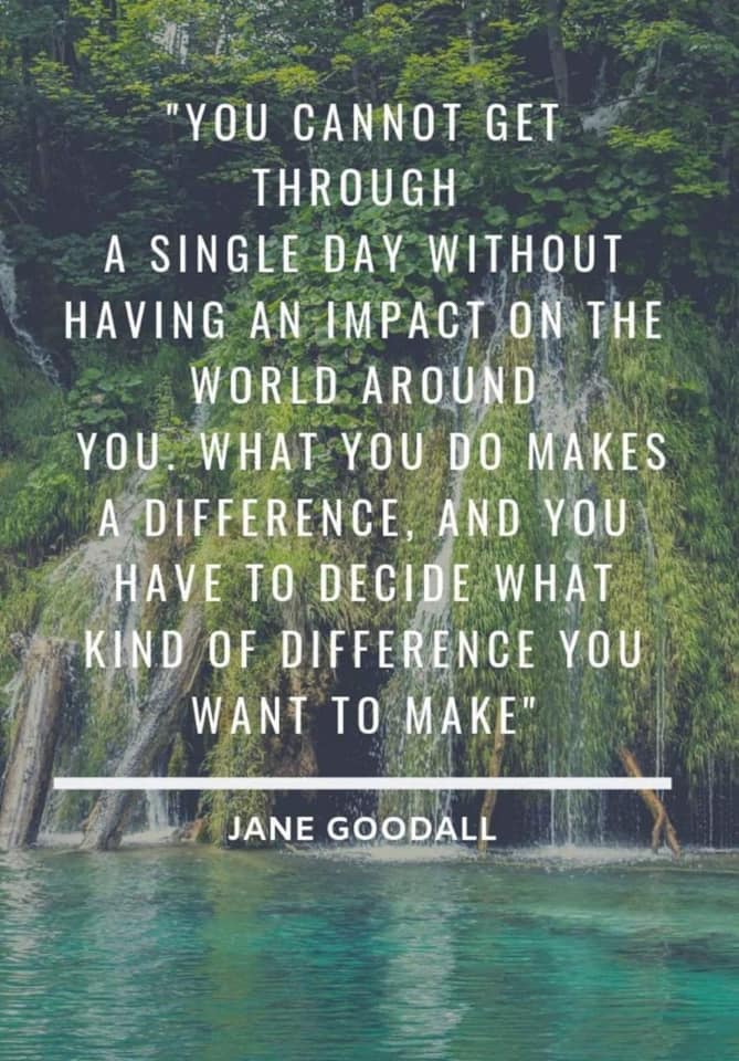 Jane Goodall What You Do Makes A Difference