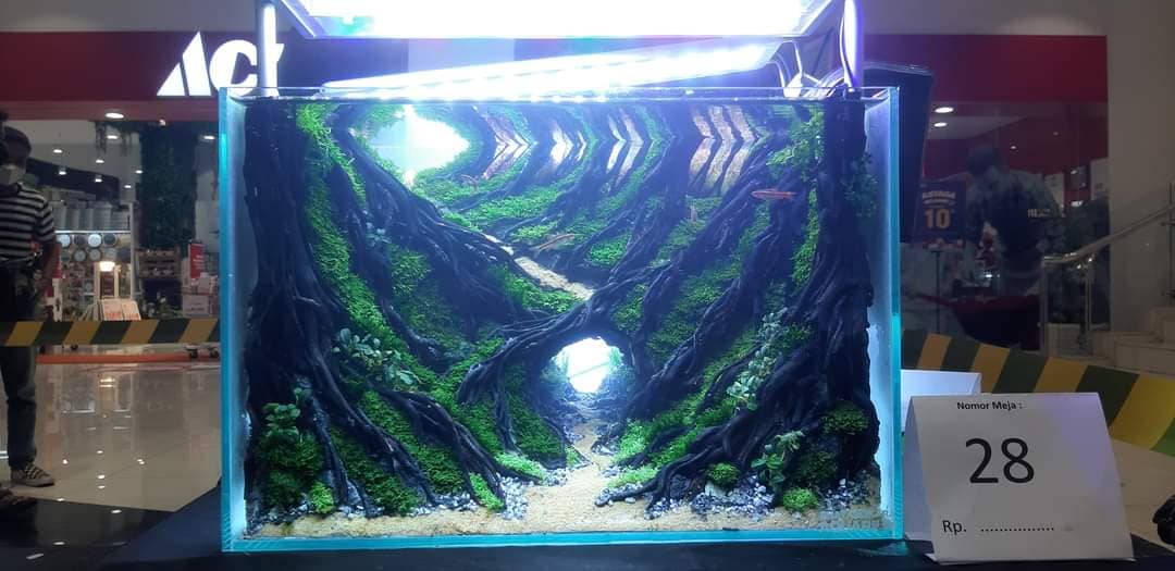 Around the world aquascape paludarium and biotope - Home