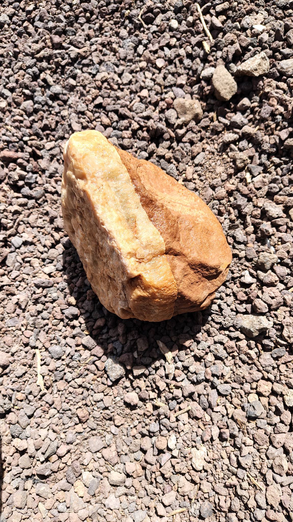 Looking for ID on these 3 rocks. Found in Apache County outside of