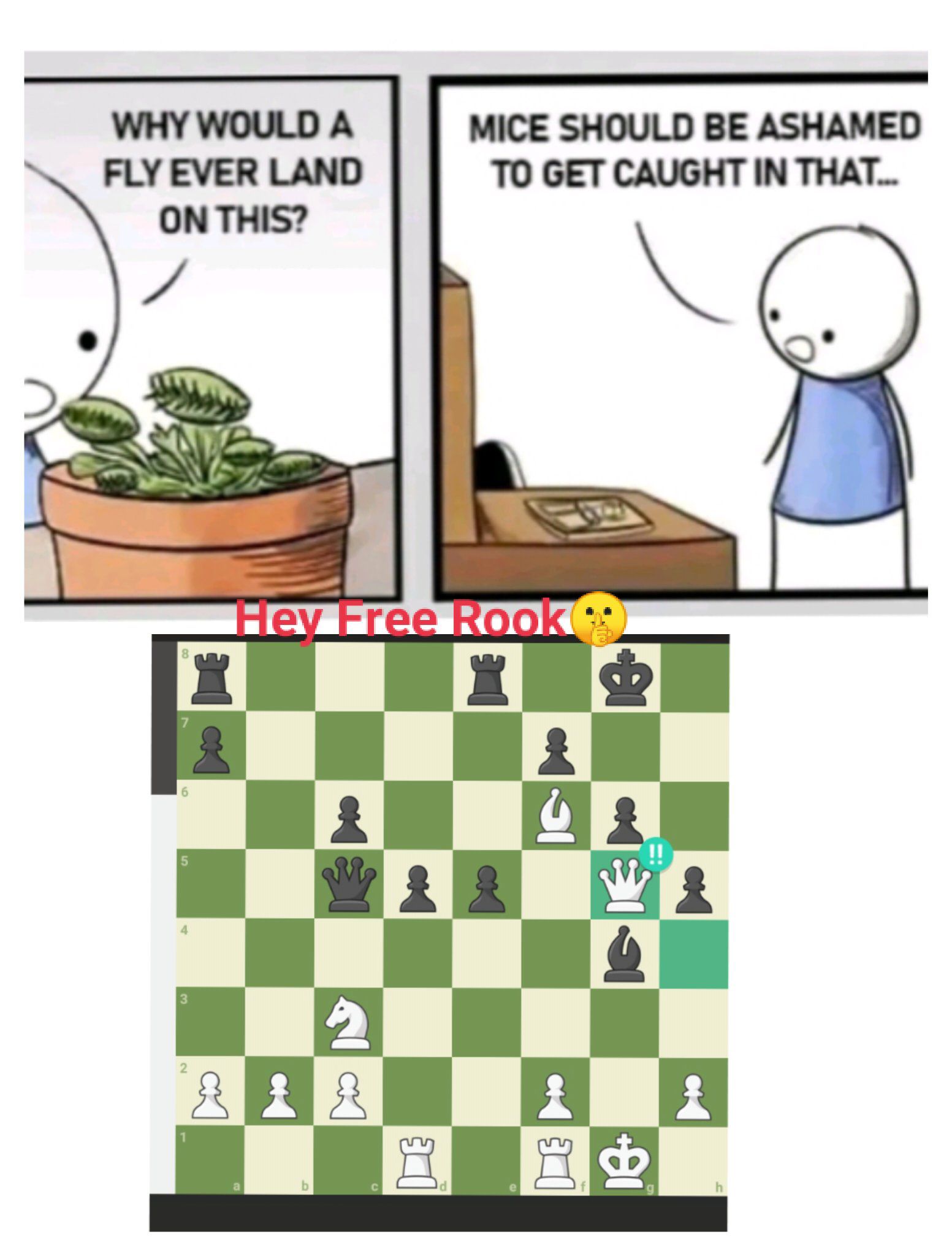 chess Move of the day | Hey free rook... | Facebook