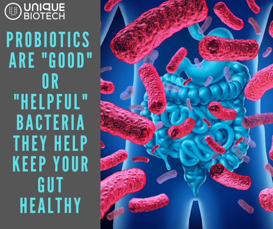 Unique Biotech