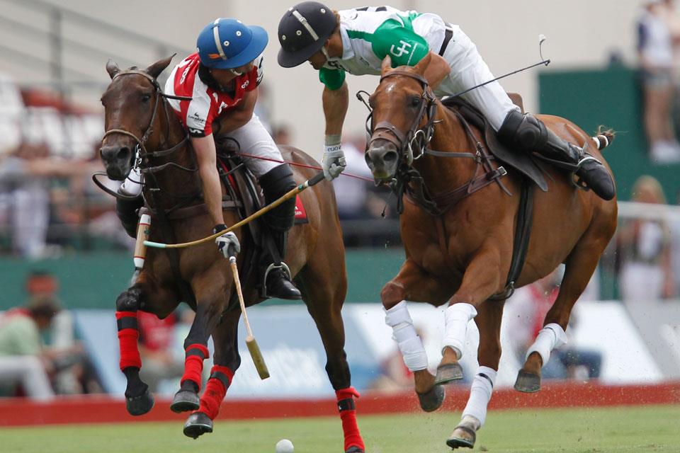 Polo Trader