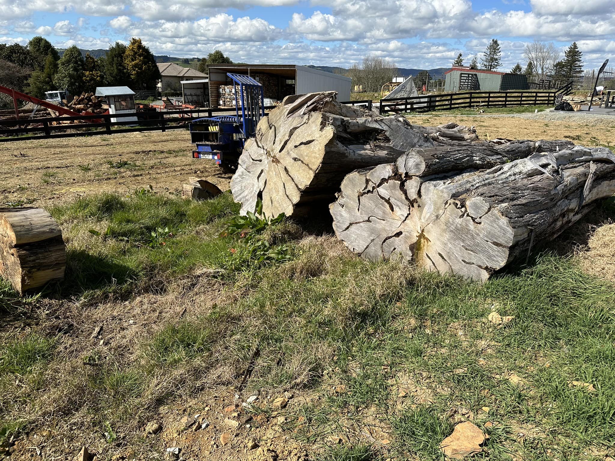 Simpson Tree Works | Piopio
