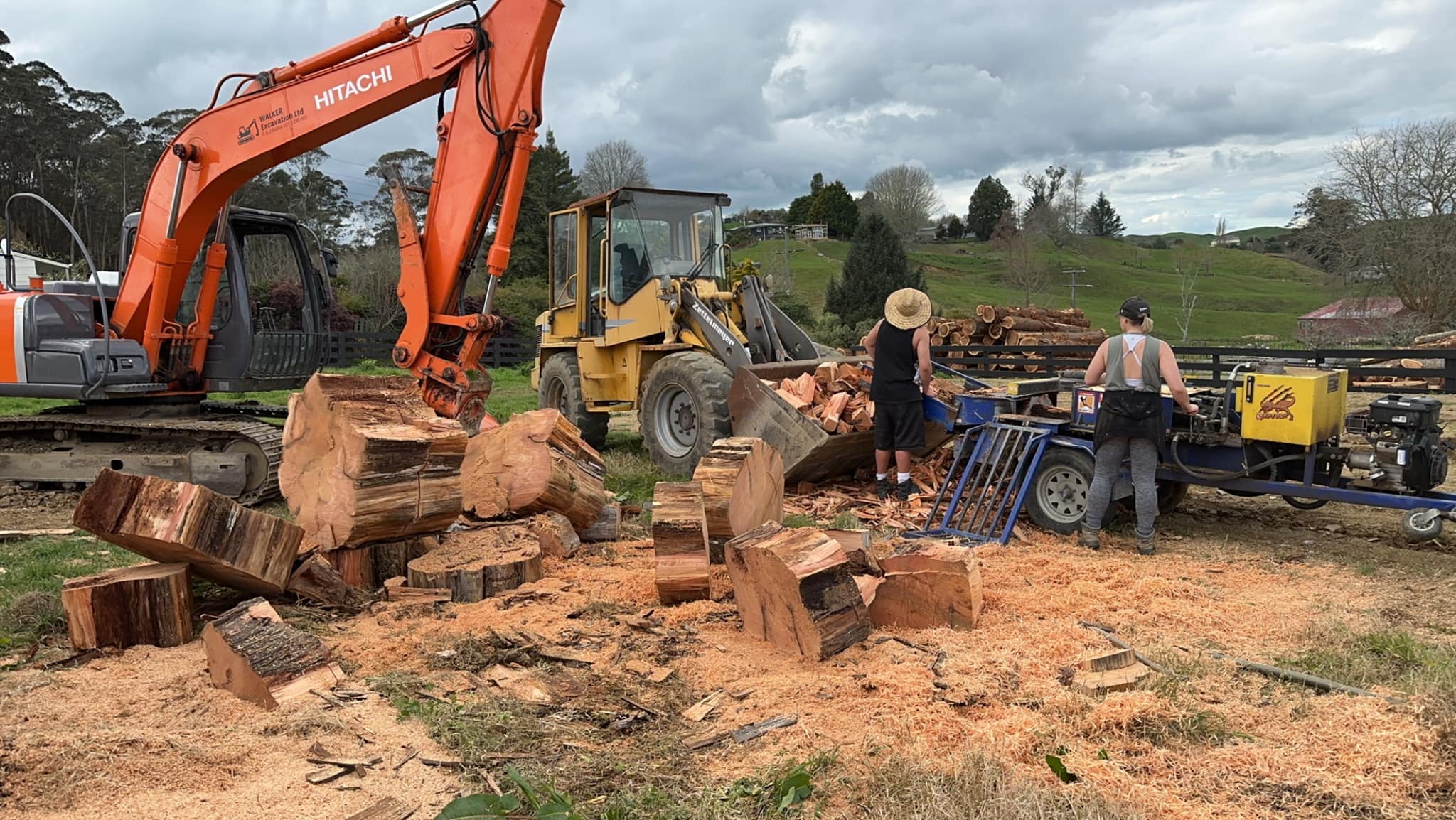 Simpson Tree Works | Piopio