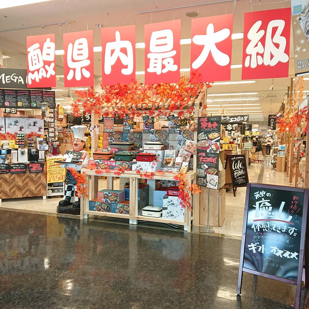 島田 屋 高知