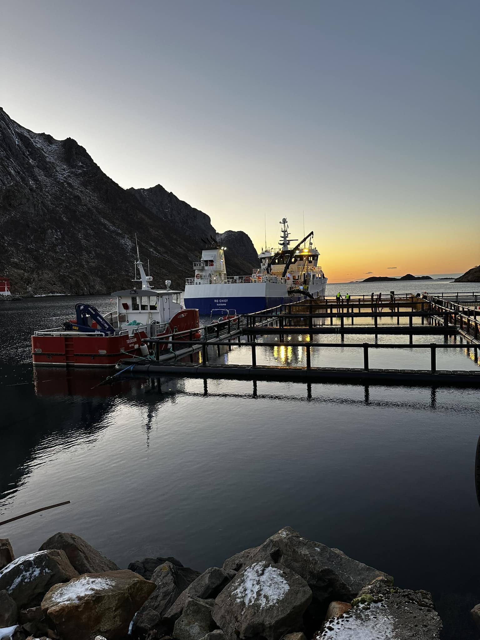 Vesterålen Havbruk A/S | Myre