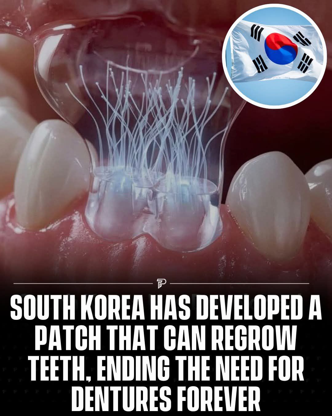 Ufuoma - South Korean scientists have unveiled a groundbreaking dental ...