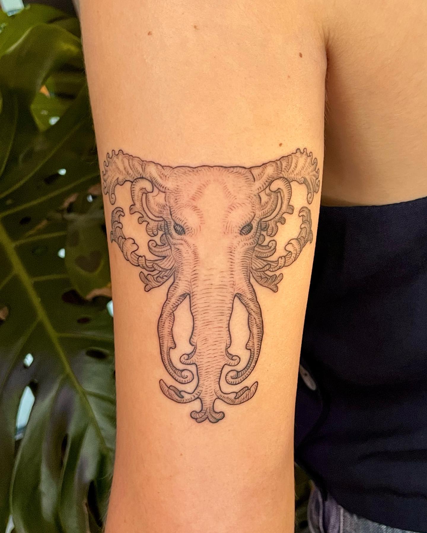 Matteo Moni Ink