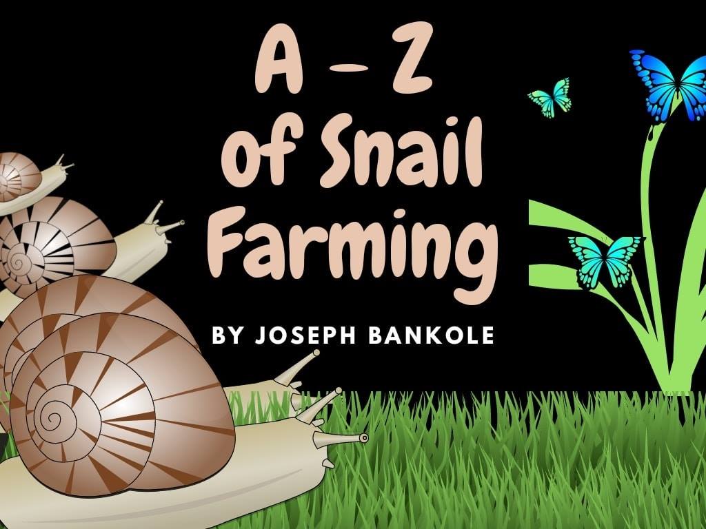 Sonerin Farms - Hi, would you like to become a snail farmer? You can ...