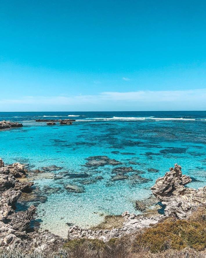 SeaLink Rottnest Island - Visit Rotto on our super affordable all ...