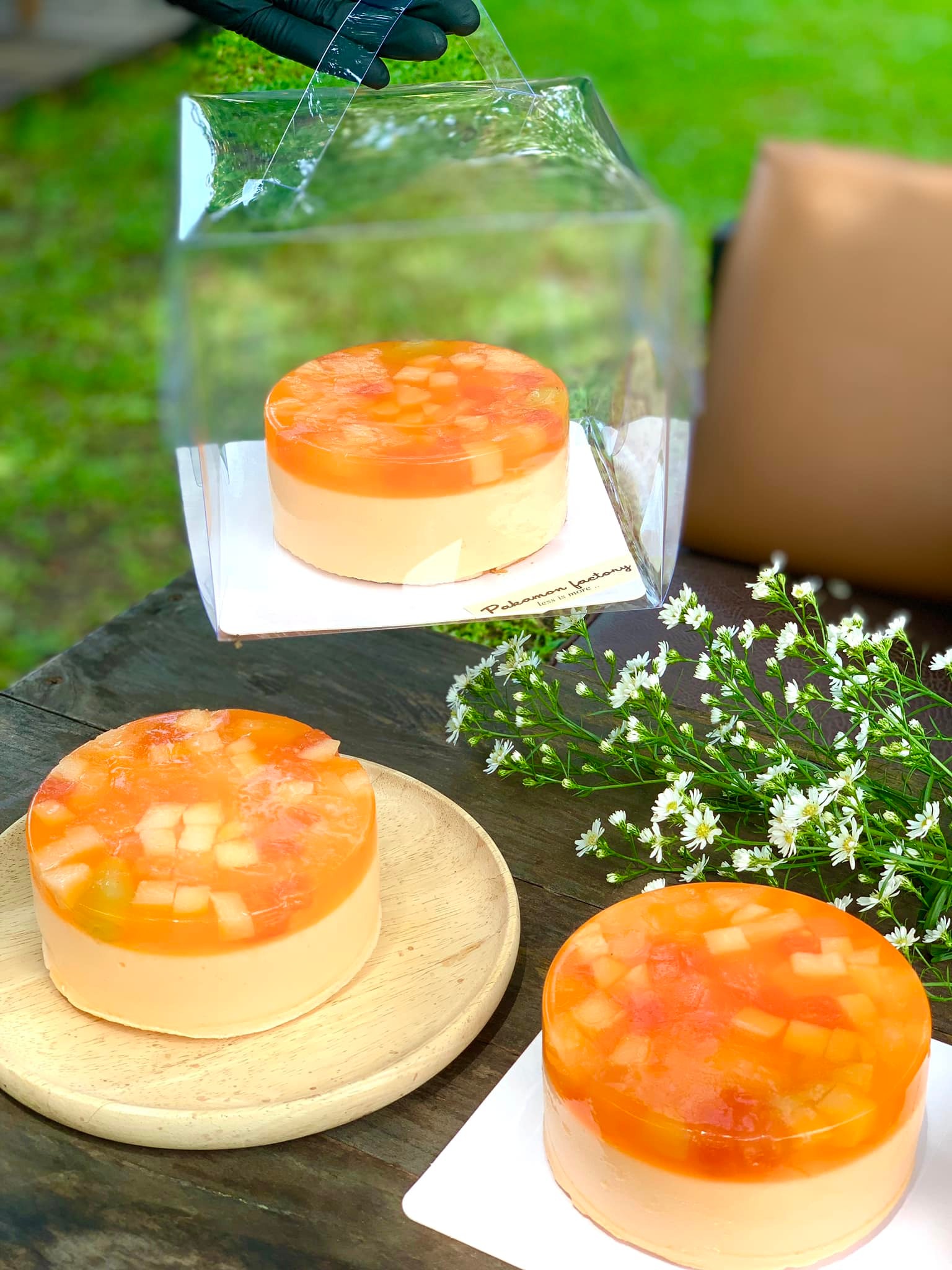 Orange Jelly Fruit Cake... - Pakamon Factory เจ็ดยอด | Facebook