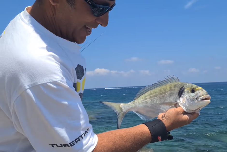 Ami Colmic MR70 Per Rockfishing - Confezione Per Orata, Corvina, Sparidi E Murene - Fatti In Italia