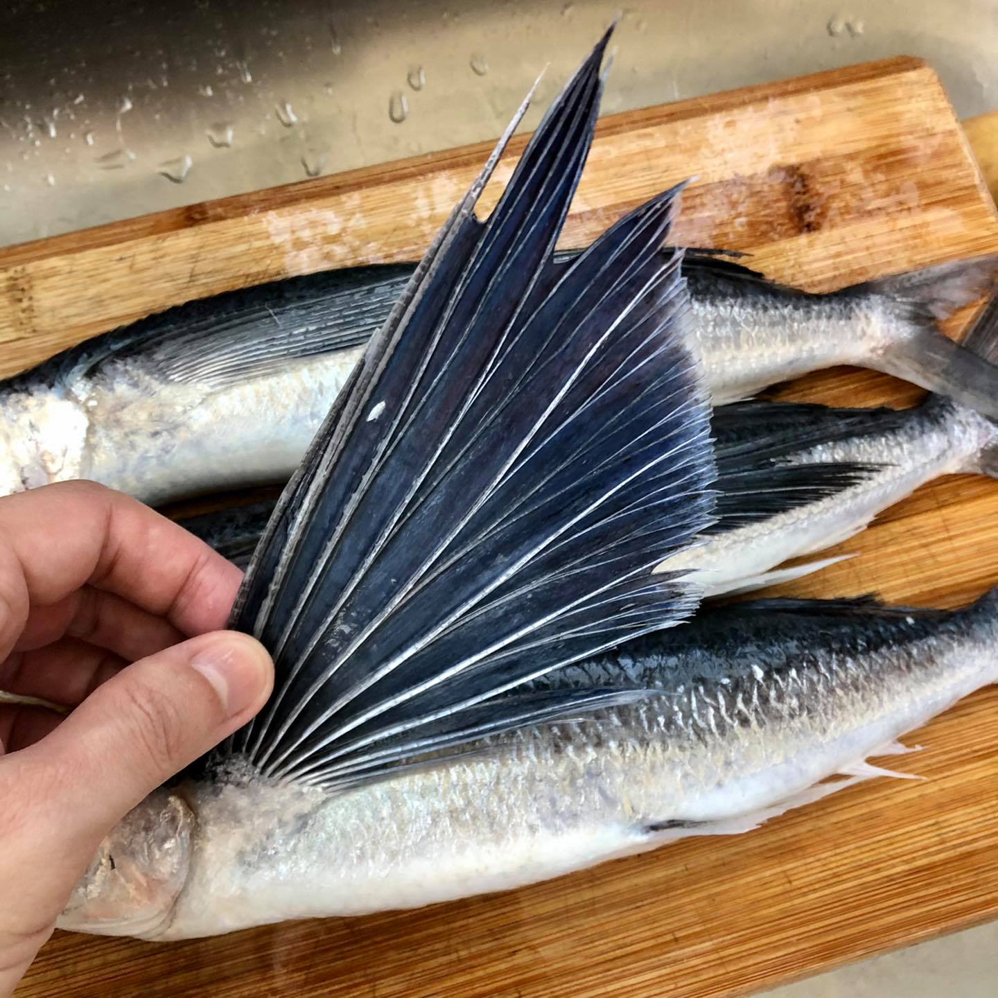 飛魚和海鱺。 海鱺生魚片非常好吃。 - 阿貓的日常料理 Cooking Diary of a Taiwanese Man | Facebook