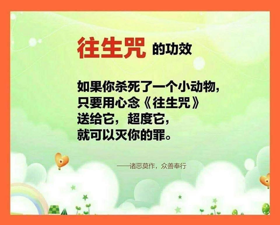 卢台长心灵法门一世修成 - Wenda20200412 39:07 祖上有杀业，可以给孩子许愿1万遍往生咒吗 问：同修祖上有杀业，家里的孩子 ...