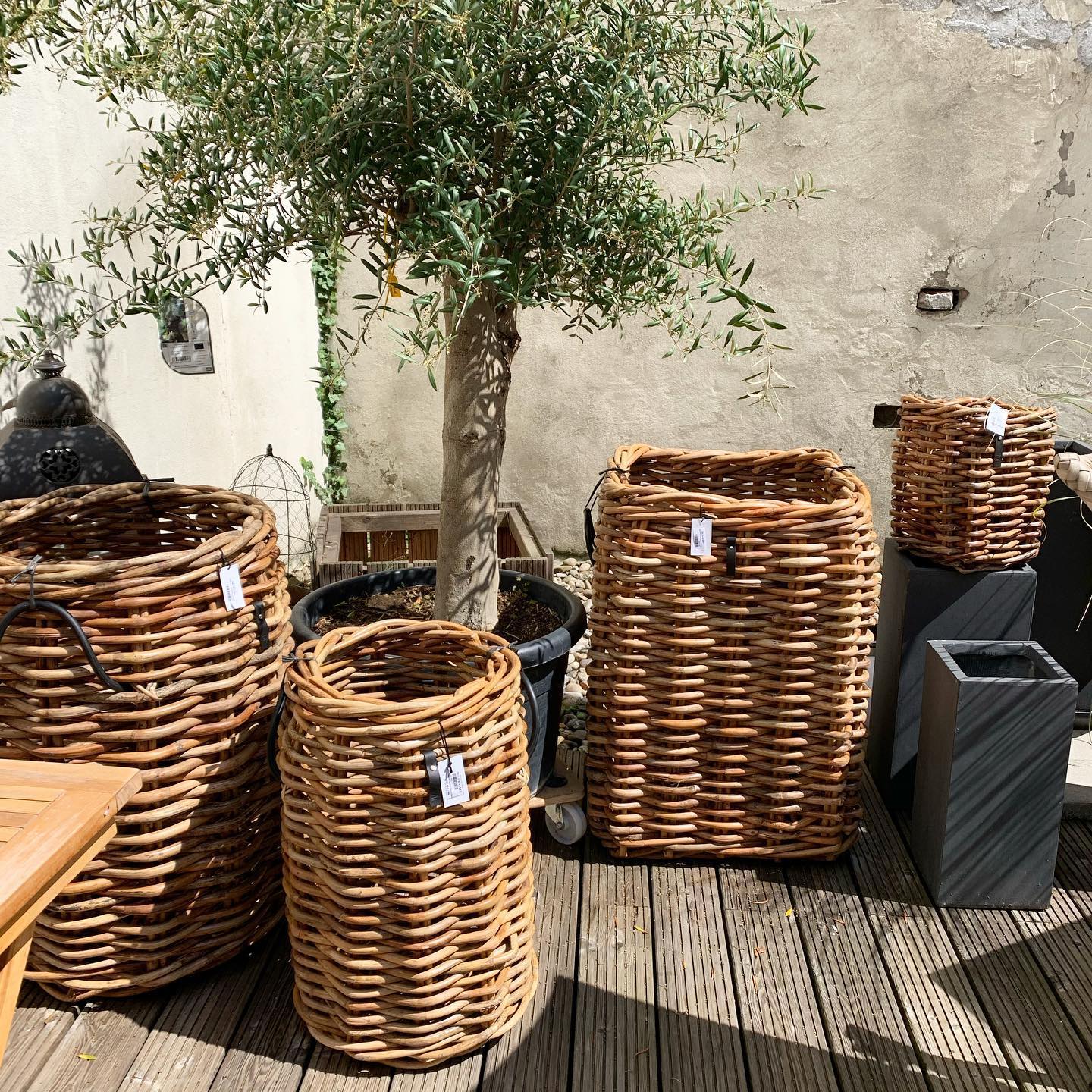 𝕆𝕦𝕥𝕕𝕠𝕠𝕣 ℝ𝕒𝕥𝕥𝕒𝕟 ℙ𝕗𝕝𝕒𝕟𝕫𝕜𝕠̈𝕣𝕓𝕖 🌳 Jetzt könnt ihr die Pflanzkörbe in ihrer ganzen Pracht sehen! Es gibt sie in der runden und in der eckigen Form 🌳 Sie sind Outdoor geeignet und zu