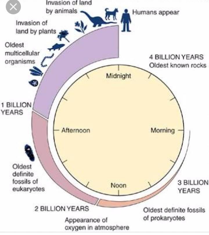 Wbpsc The Success Strategy - #anthropology Evolution clock or Gene ...