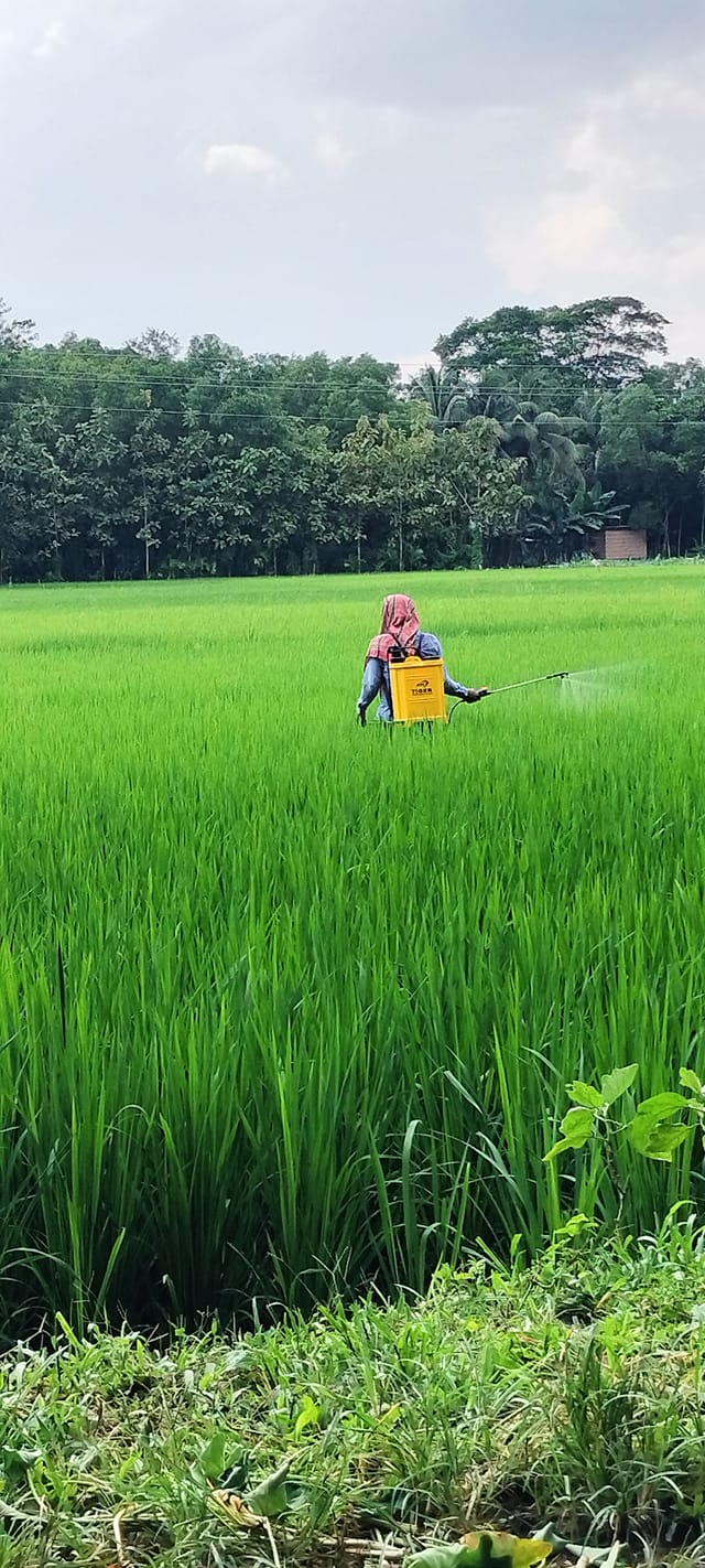 আমাদের রসূলপুর (Our Rasulpur) | Facebook