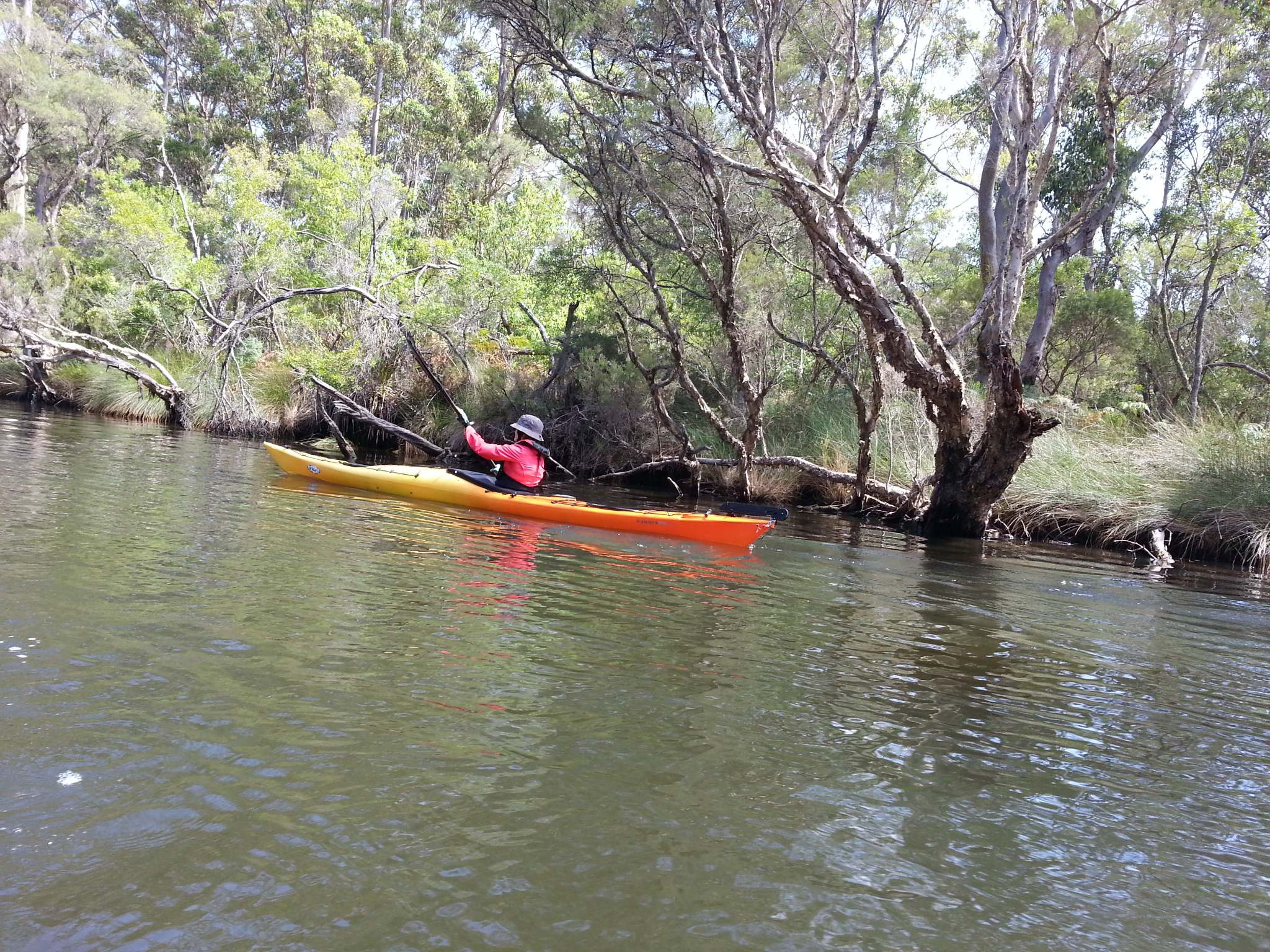 Denmark Riverside Kayak Club | Denmark WA