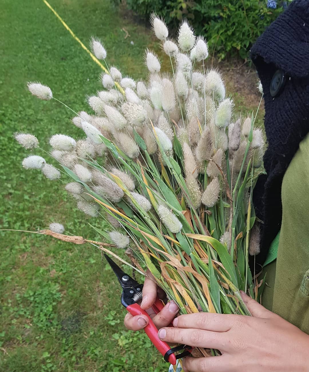 Blumen-Mayrhofer