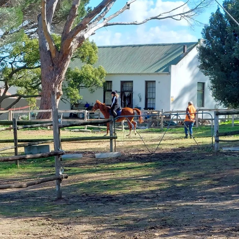 Some riding lessons giving by... - Goedeverwachting Estate